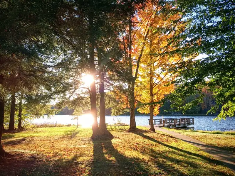Fall Foliage and Seasonal Beauty