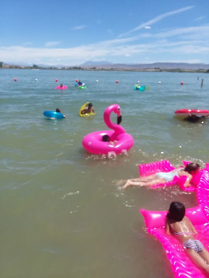 Kid-friendly tips and safety notes