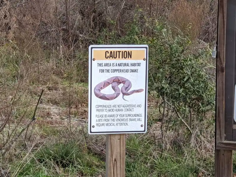 Diverse Wildlife Encounters