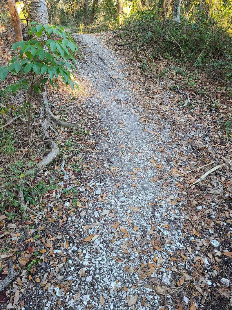 Shell Mounds: Quiet History in the Trees