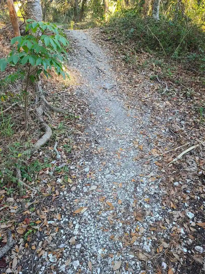 Shell Mounds: Quiet History in the Trees