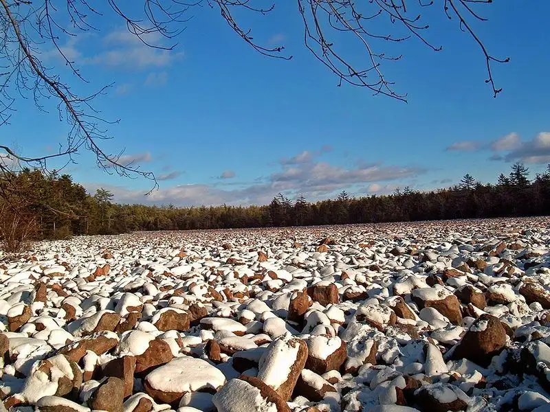 Hickory Run State Park (Boulder Field)