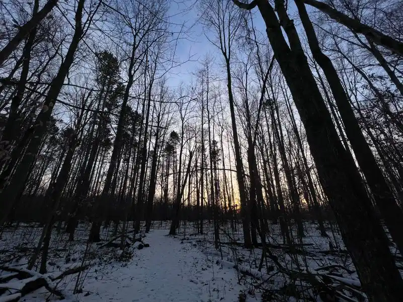 Seasonal Changes That Transform the Landscape