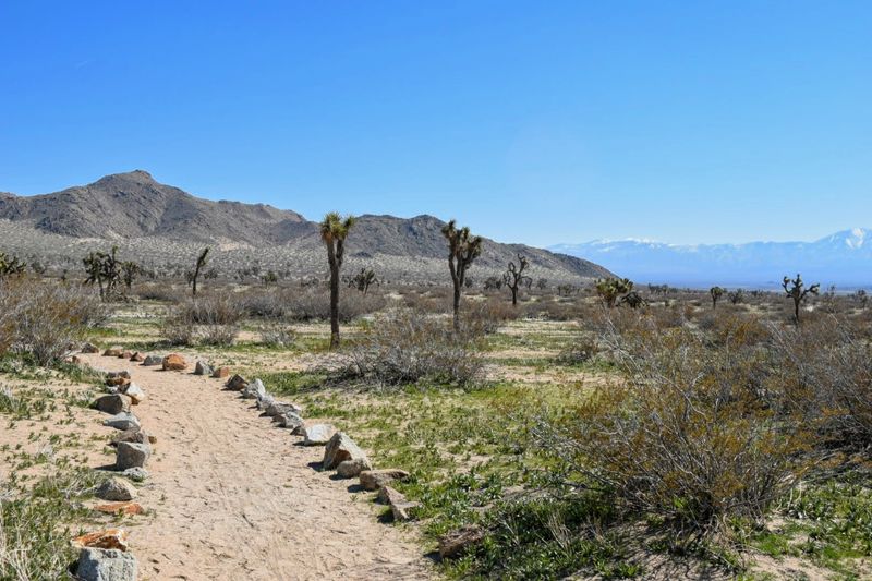 Saddleback Butte State Park
