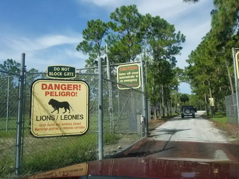 Drive-through safari essentials and safety