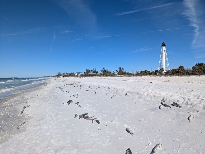 What makes its setting unforgettable