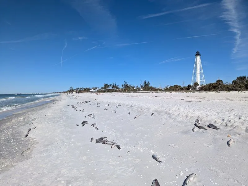 What makes its setting unforgettable