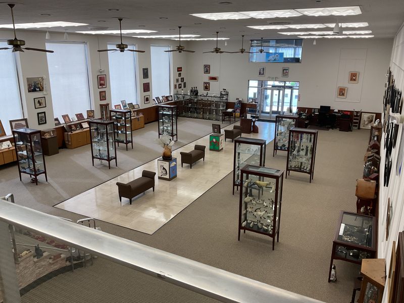 Highlights for educators, writers, and researchers