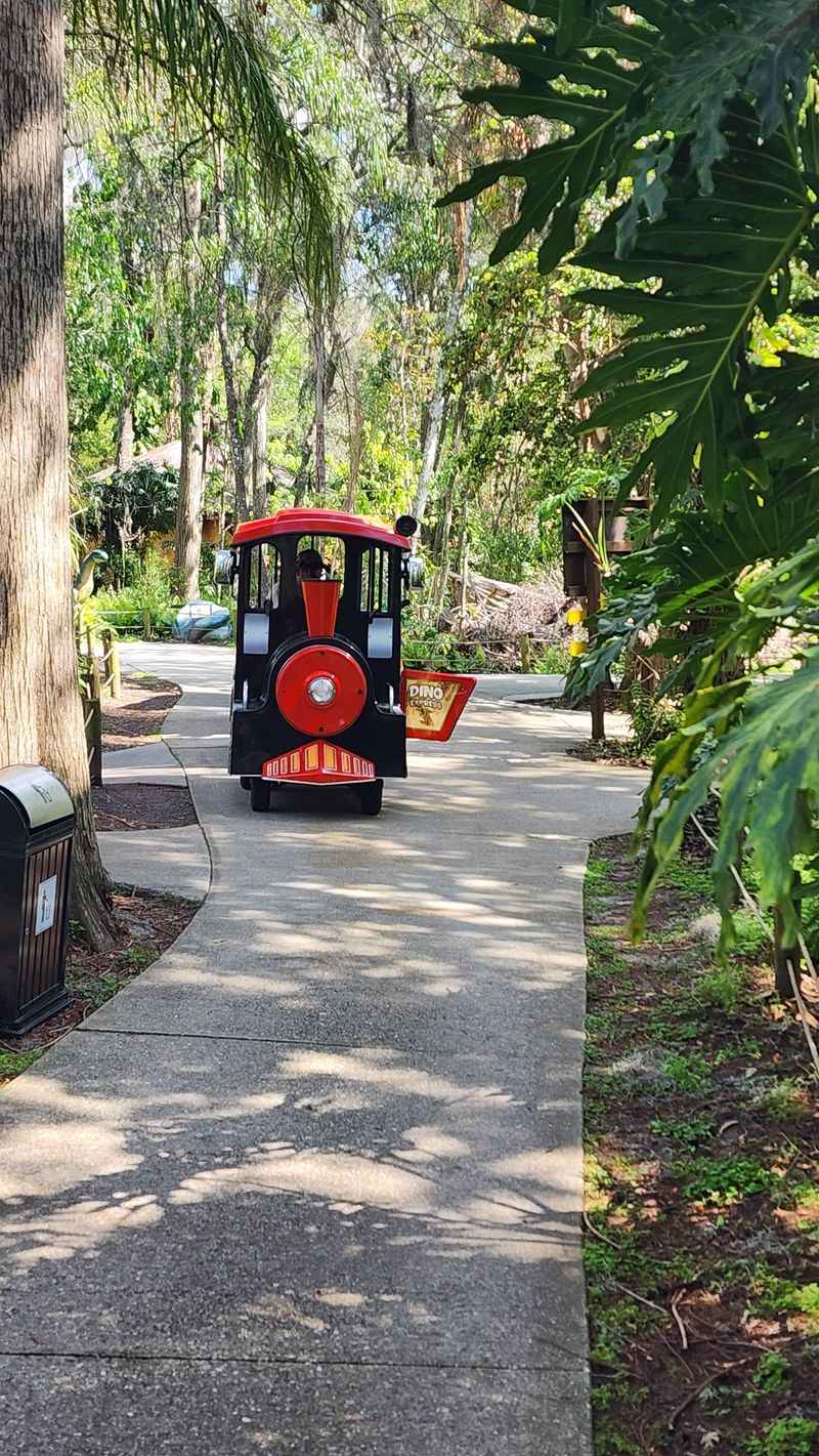 Train Ride And Small Rides: What To Expect