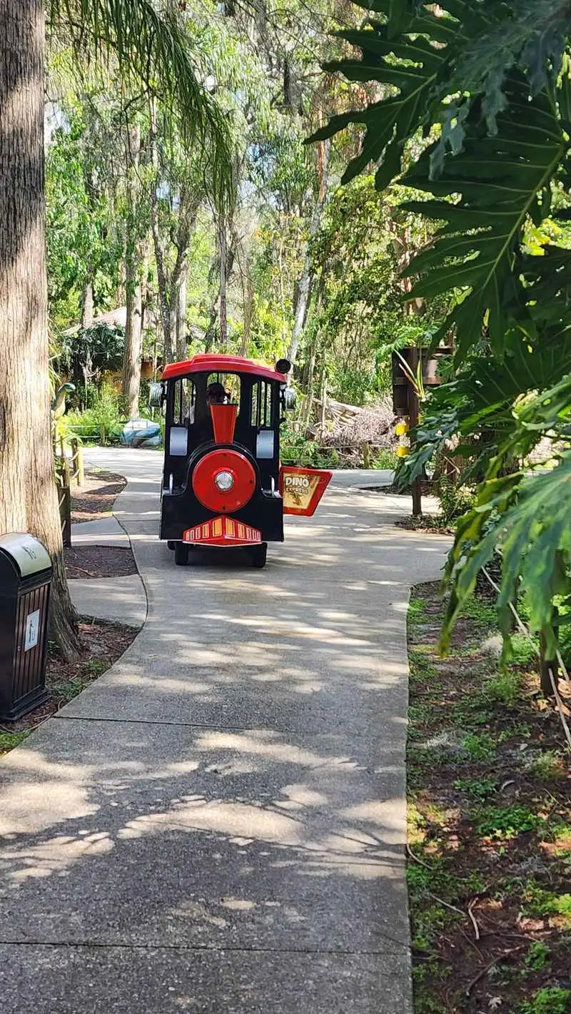 Train Ride And Small Rides: What To Expect