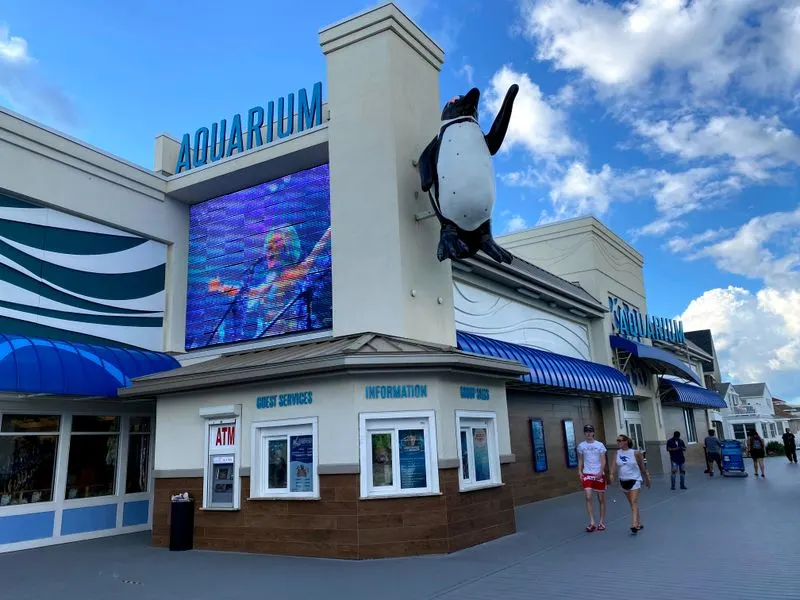 Jenkinson&rsquo;s Aquarium and Family Charm