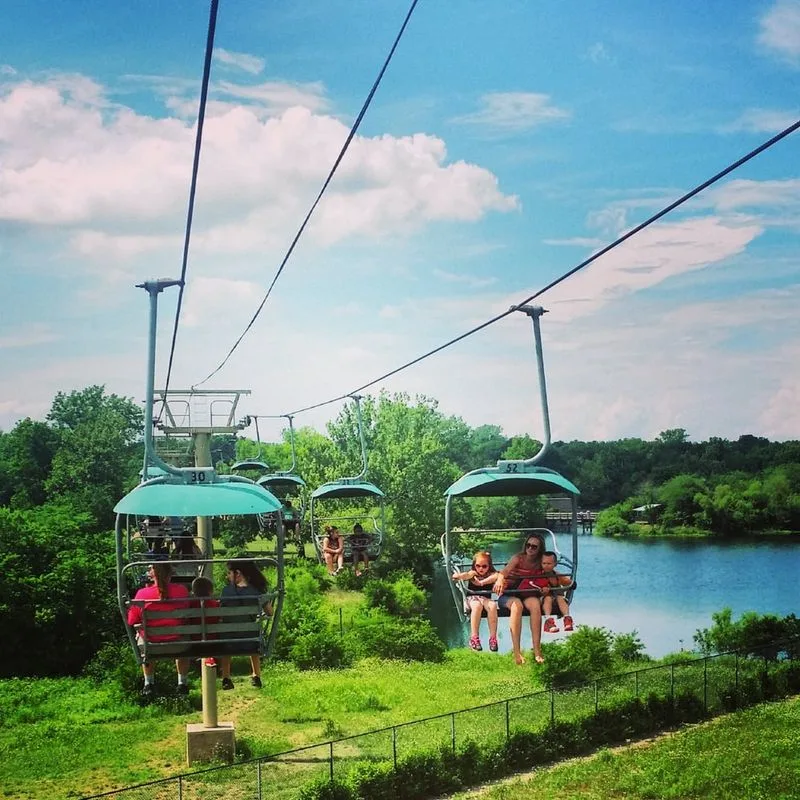 Tram, Train, and Sky Ride Logistics