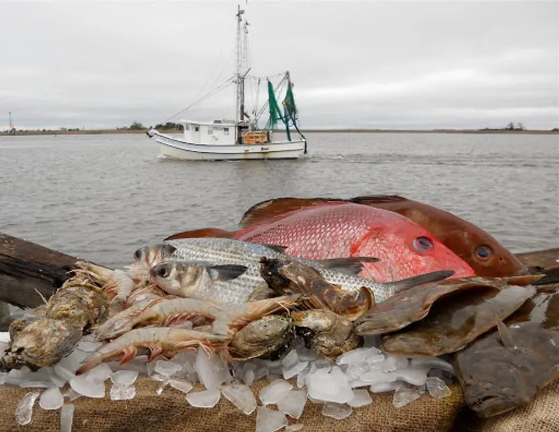 Apalachicola, Florida