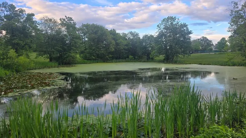 Conclusion: A Mountain Escape Without the Hassle