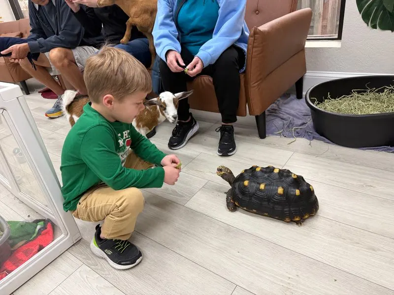 Kid friendly, grownup approved