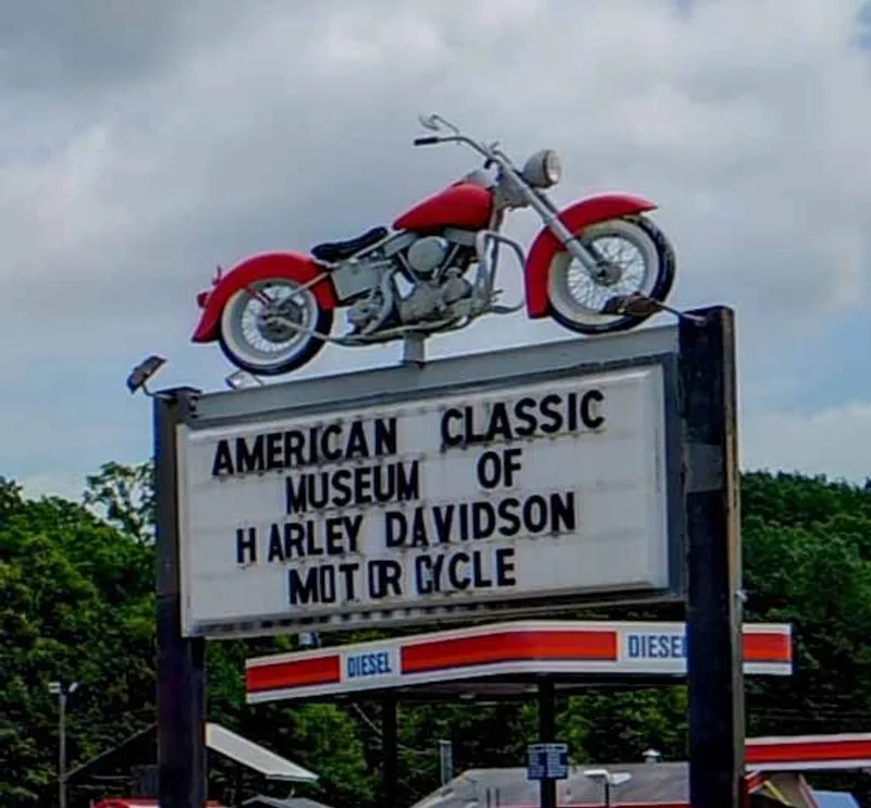 Etiquette, photography, and supporting the museum