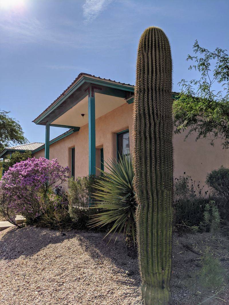 Tucson