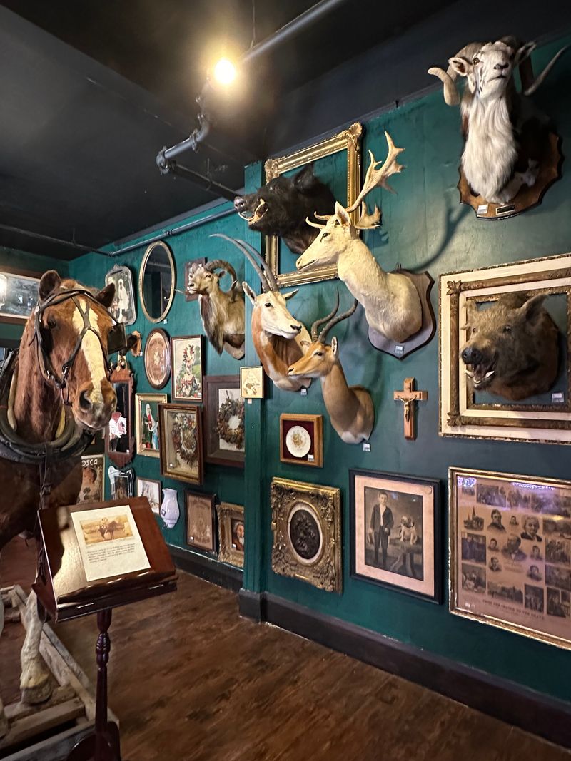 The mini museum experience