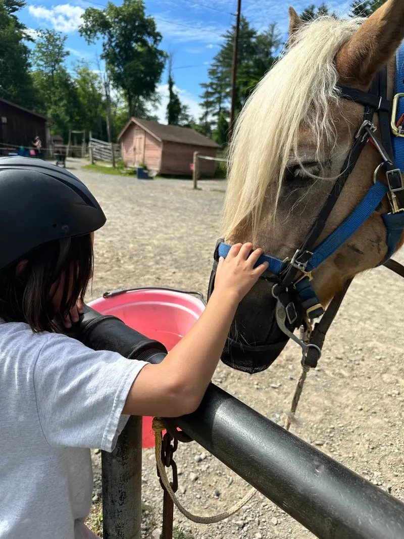 Family friendly and first timer advice