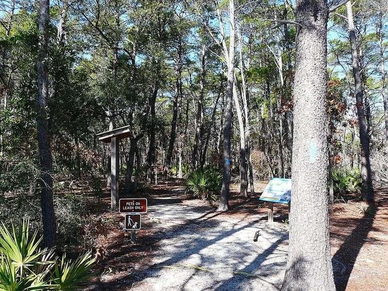 Scenic Hiking Trails