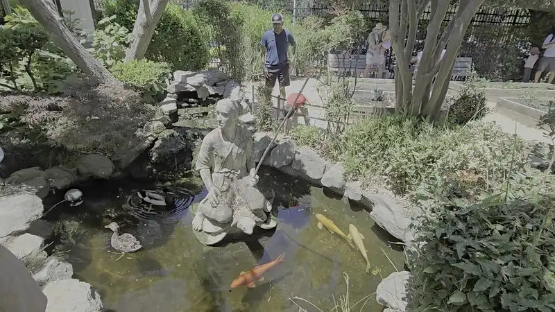 Gardens and Outdoor Spaces