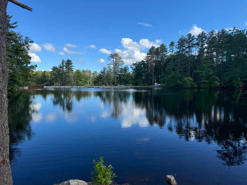 Harold Parker State Forest
