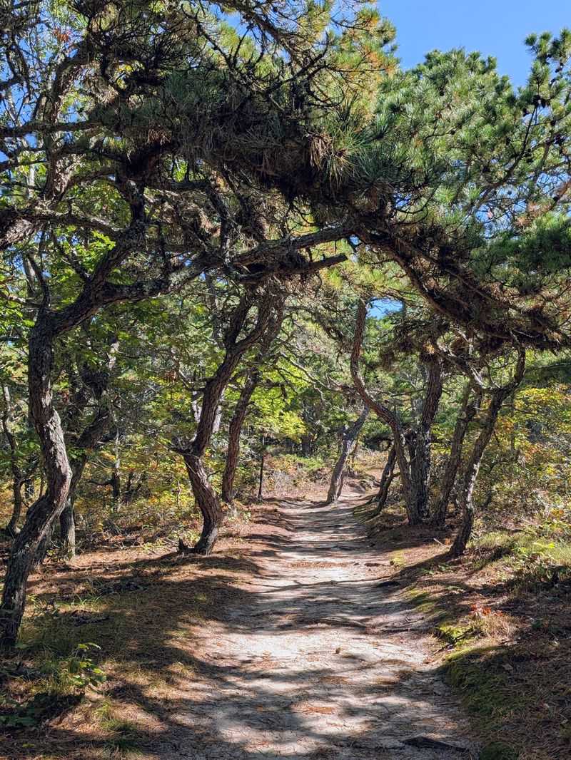 Seasonal Highlights To Watch For