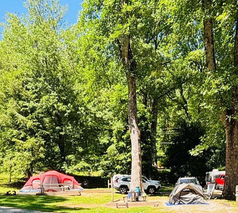 Family friendly perks for new campers