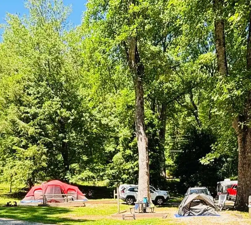 Family friendly perks for new campers