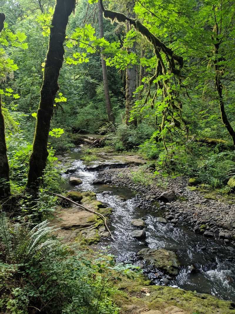 Outdoor Etiquette and Respect