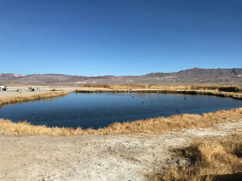Fish Lake Valley Playa