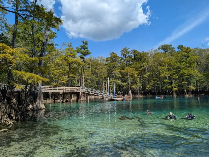 Morrison Springs Outflow Cascades - Ponce de Leon
