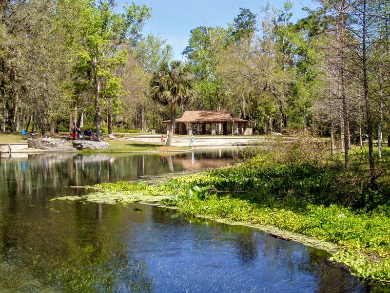 Wekiwa Springs