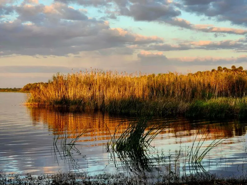 Seasonal Tips and Quiet Times