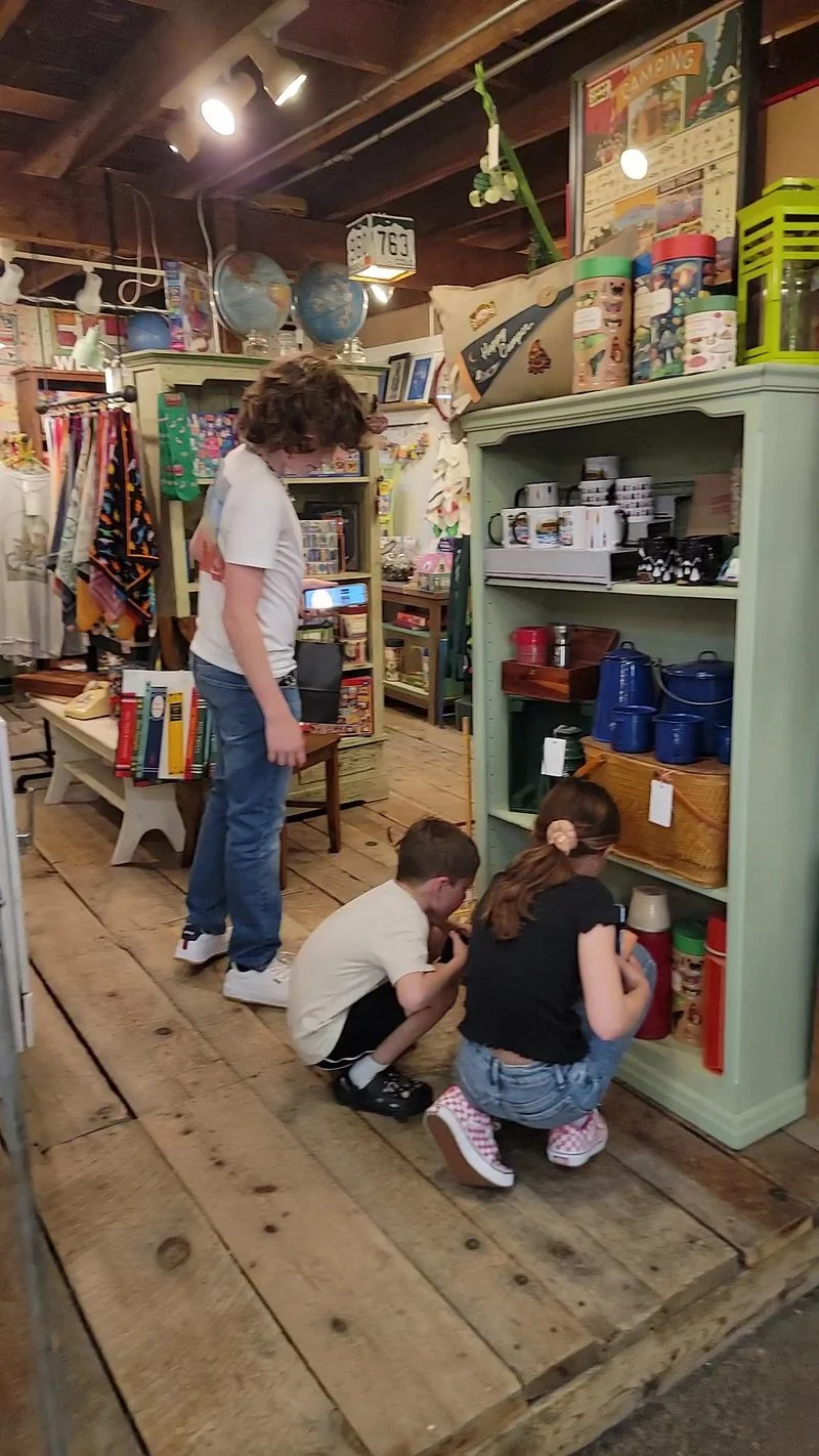 Classic Vinyl Records and Local Pressings