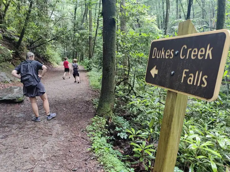 Dukes Creek Falls overlook and hike option