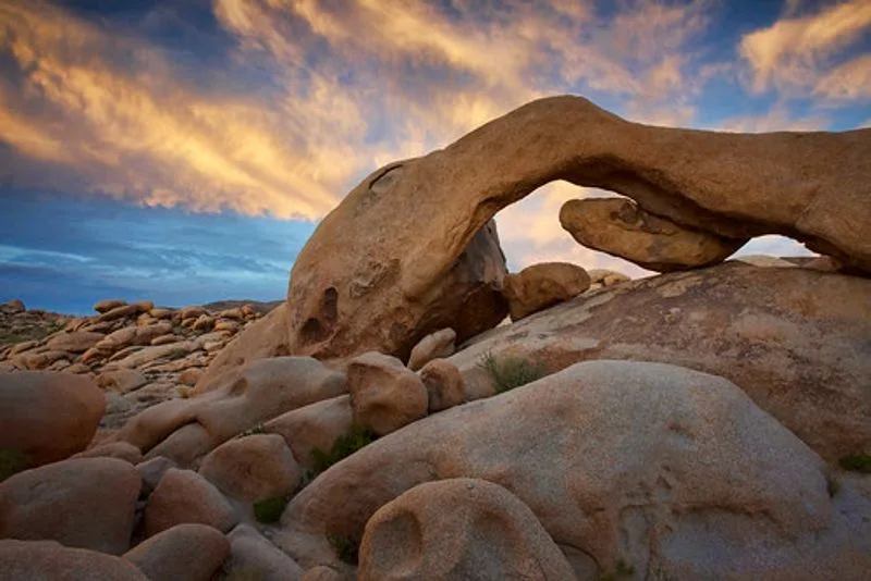 Joshua Tree National Park, California