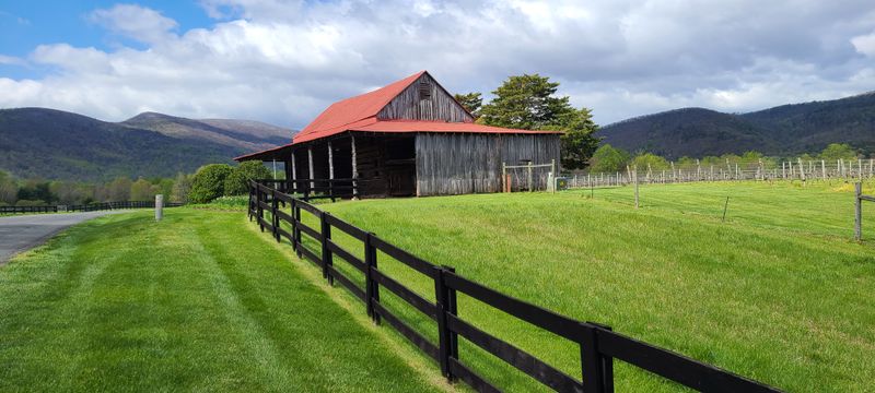 Practical Tips for a Stress-Free Visit