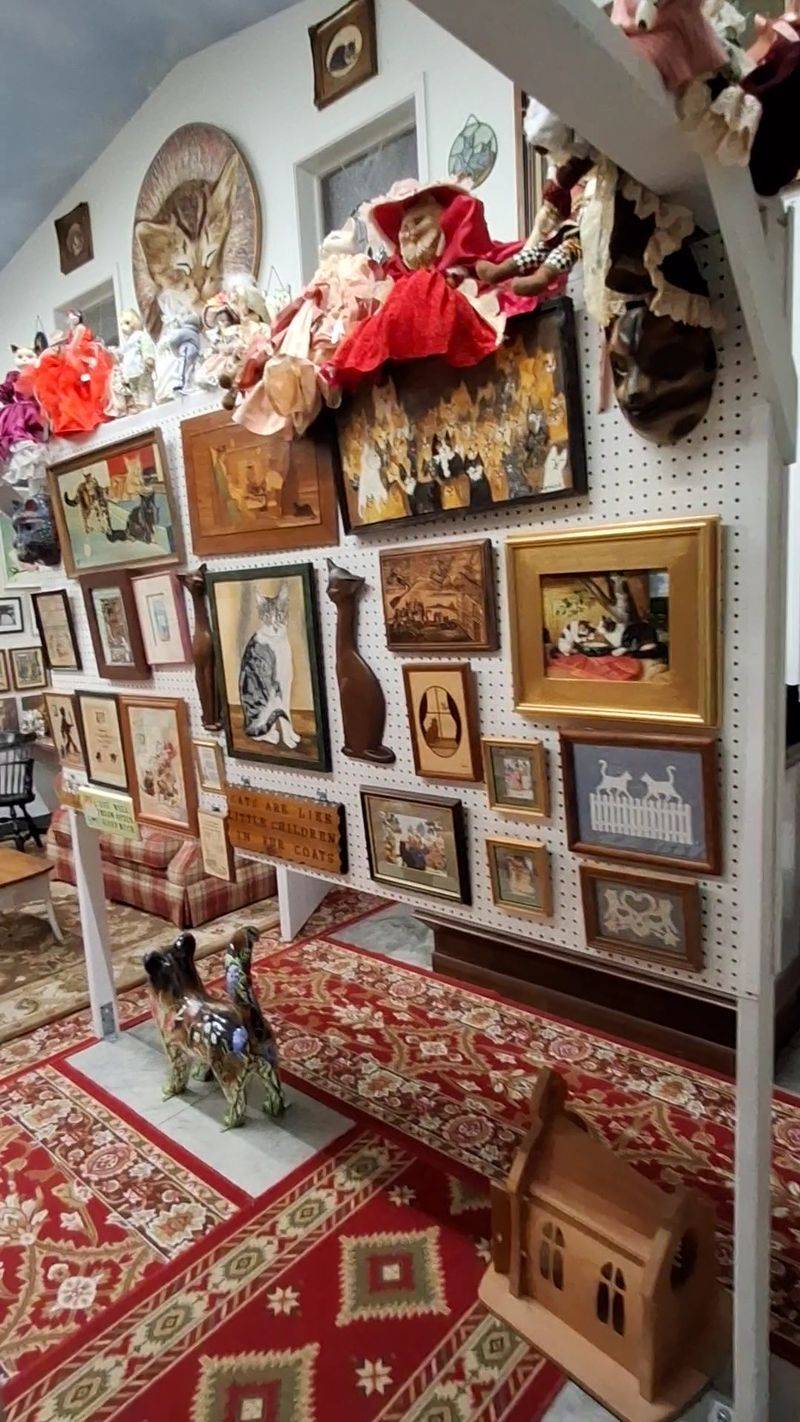 Cat-Inspired Artistry