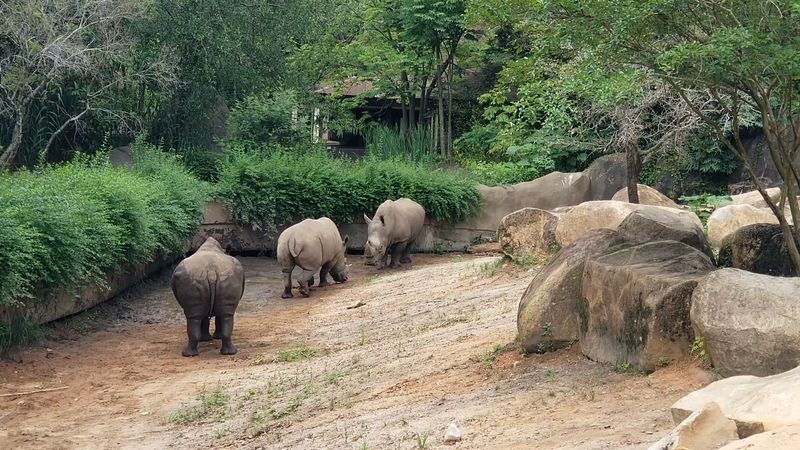 South Carolina – Riverbanks Zoo and Garden – Columbia