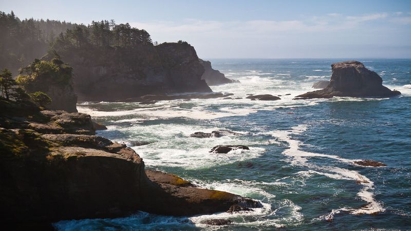 Sea Lion Rock &mdash; Cape Flattery, Washington