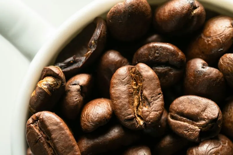 World-Class Coffee Regions