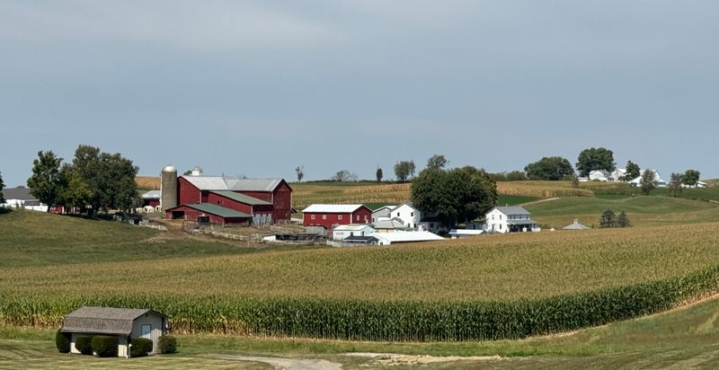 Community Connection