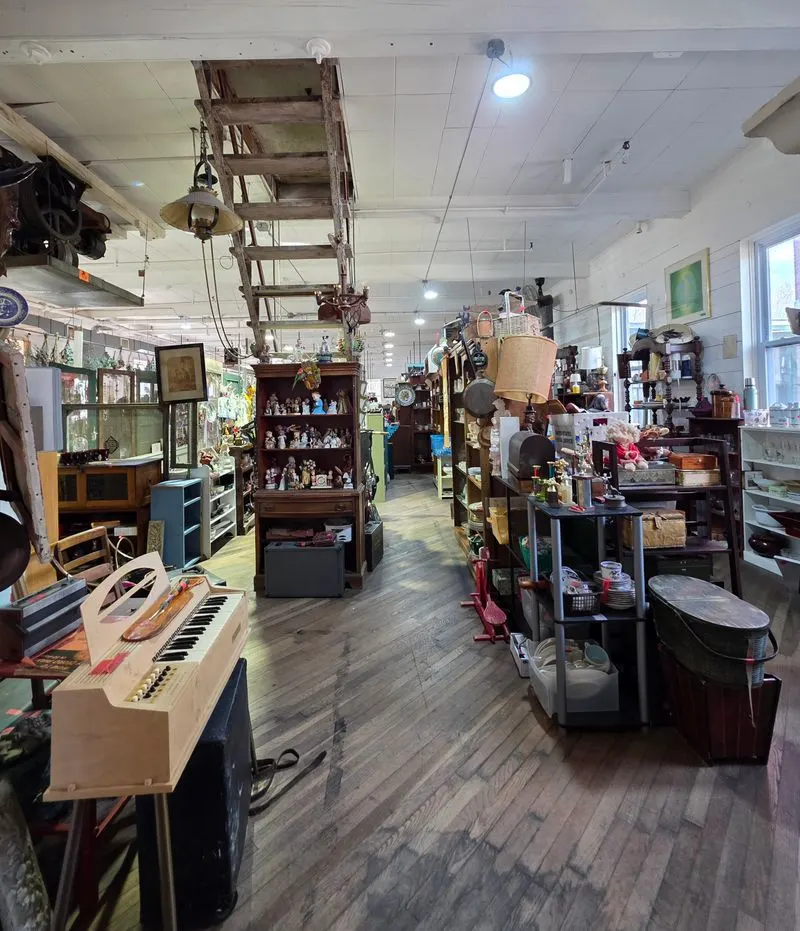 Pandemonium Thrift Shop