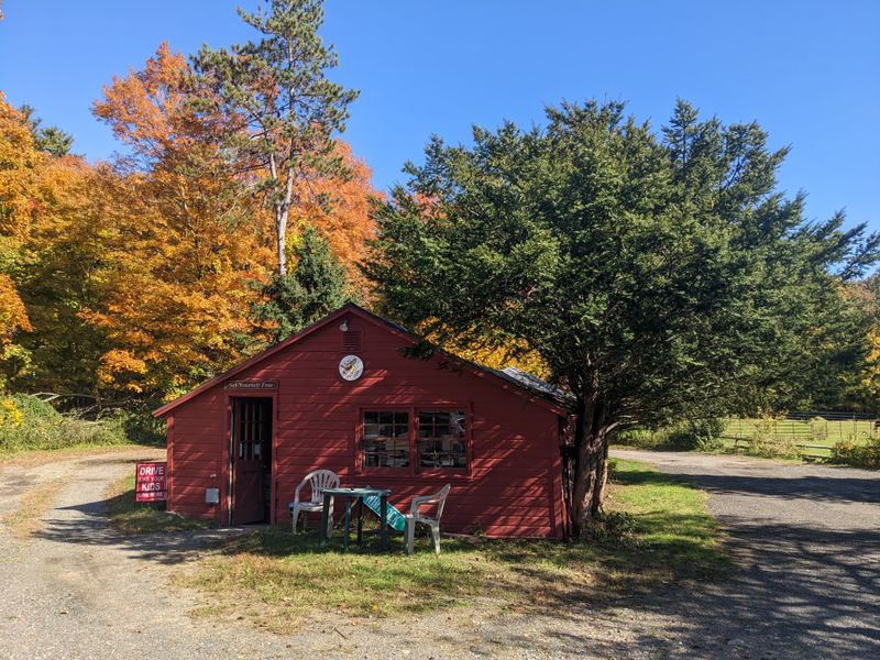Whitlock&rsquo;s Book Barn (Bethany)