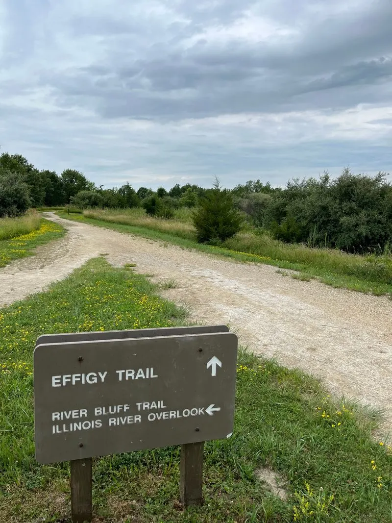 Effigy Tumuli: Walking the Earthworks
