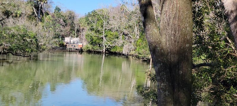 Gopher Tortoise Trails