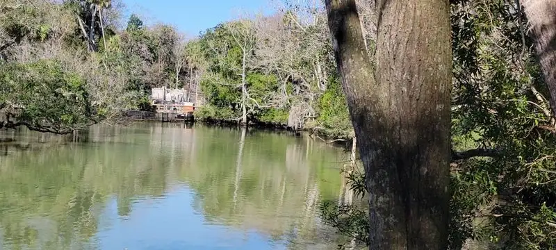 Gopher Tortoise Trails