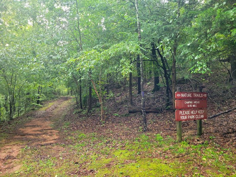 Easygoing trails that feel like a reset button