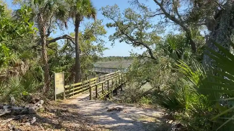 Tabby Ruins and Marsh Boardwalk Ramble